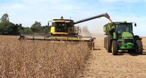 UGP proyecta crecimiento agrícola del 30%
