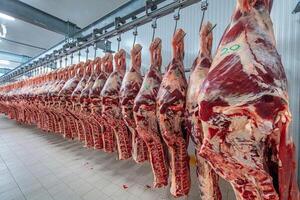 Frigorífico Guaraní enviará a fin de mes el primer contenedor de carne a Taiwán | OnLivePy