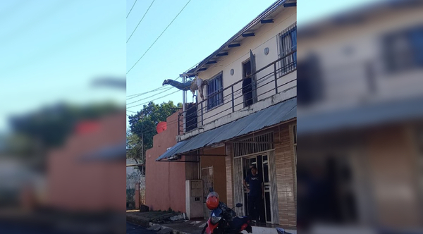 Diario HOY | Pdte. Franco: pintor quedó colgado por el tendido eléctrico mientras trabajaba