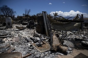 Las autoridades elevan a 106 el número de fallecidos en los incendios en Maui - San Lorenzo Hoy