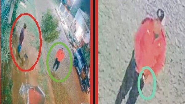 Doña enfrentó al tipo que disparó hacia su perro