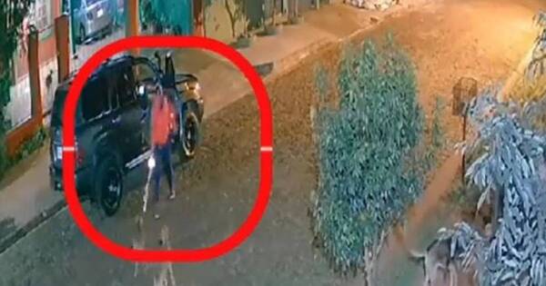 La Nación / Un hombre disparó contra perritos de un refugio en Itapúa