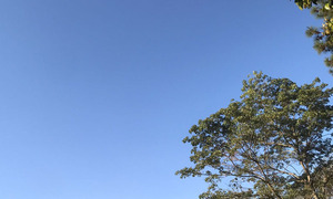 Jueves cálido a caluroso en Coronel Oviedo