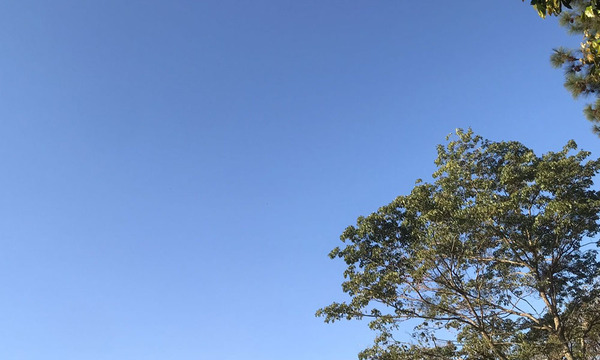 Jueves cálido a caluroso en Coronel Oviedo