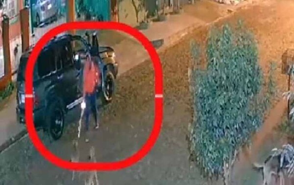 Hombre disparó contra perritos de un refugio en Itapúa – Prensa 5