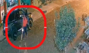 Itapúa: Un hombre disparó contra perros de un refugio