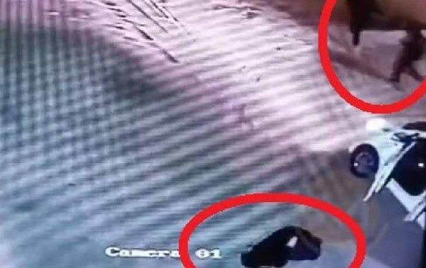 Cae una mujer por el caso del conductor de Bolt asesinado en Villa Elisa – Prensa 5