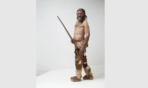 Revelan aspecto de Ötzi, el Hombre de Hielo, por un nuevo análisis de ADN