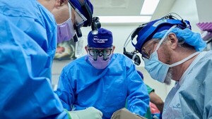 Diario HOY | Riñón de cerdo trasplantado a un hombre en muerte cerebral funciona bien