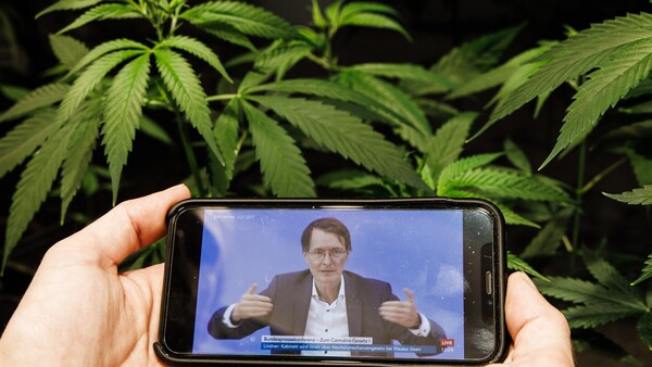 El Gobierno alemán aprueba la "legalización controlada" del consumo de cannabis
