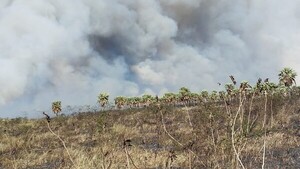 Incendio forestal de gran magnitud sobre la ruta Luque-San Ber