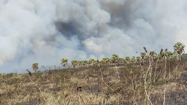 Incendio forestal de gran magnitud sobre la ruta Luque-San Ber