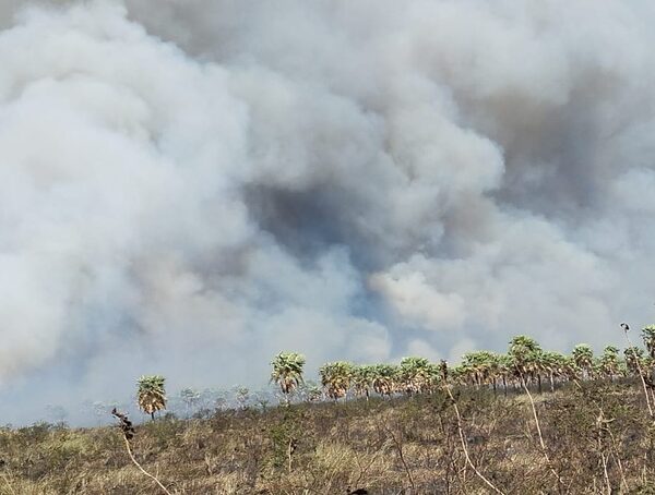 Reportan incendio de gran magnitud cerca de la ruta Luque – San Bernardino · Radio Monumental 1080 AM
