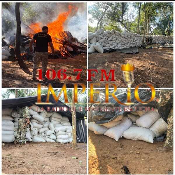 Senad destruyó cerca de 30 mil kilos de marihuana en Bella Vista - Radio Imperio 106.7 FM