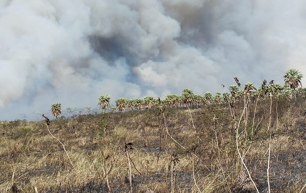 Diario HOY | Nuevo incendio en zona de la Ruta Luque-Samber: fuego es "incontrolable"