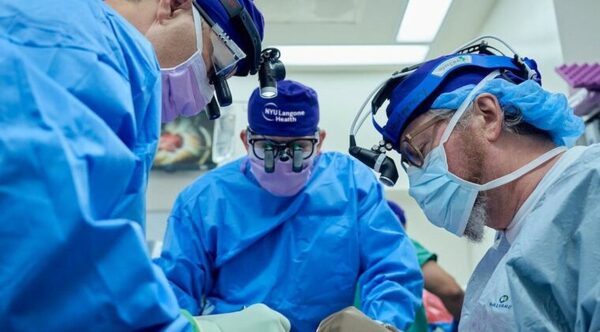 RIÑÓN DE CERDO TRASPLANTADO A UN HOMBRE EN MUERTE CEREBRAL FUNCIONA BIEN