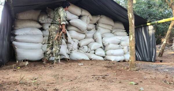 La Nación / En zona de frontera, decomisan casi 30 toneladas de marihuana