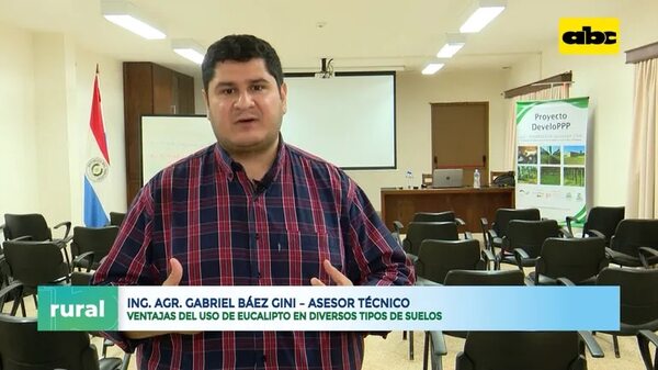 Video: ventajas del uso de eucalipto en diversos tipos de suelos - ABC Rural - ABC Color
