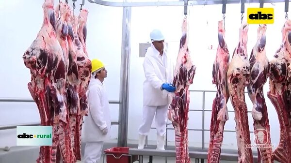 Video: Brasil entra fuerte con su carne bovina a Chile - ABC Rural - ABC Color