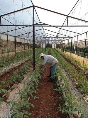Hortigranjeros esperan que nuevo gobierno atienda pedidos de infraestructura - ABC en el Este - ABC Color