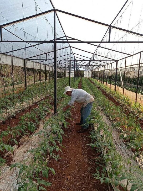 Hortigranjeros esperan que nuevo gobierno atienda pedidos de infraestructura - ABC en el Este - ABC Color