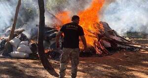 La Nación / Comisan casi 30 mil kilos de marihuana