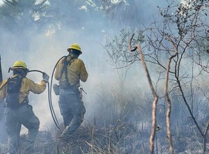 Brigada forestal de la SEN controla incendio en zona Luque-San Bernardino | 1000 Noticias