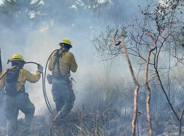 Brigada forestal de la SEN controla incendio en zona Luque-San Bernardino | 1000 Noticias
