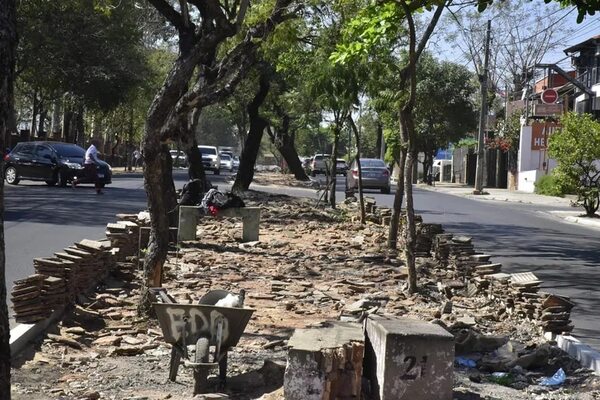 Obras “eternas” sobre avenida Carlos A. López concluirían en las próximas semanas - Nacionales - ABC Color