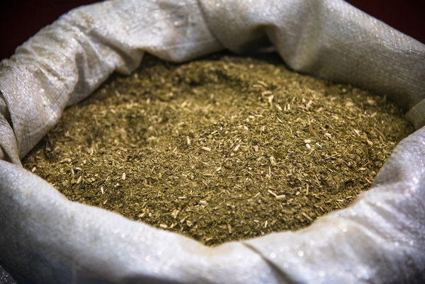 Yerba mate paraguaya se está posicionando en los mercados internacionales