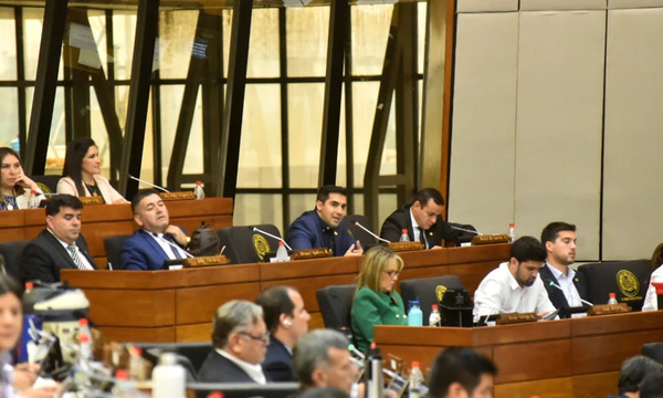 Plantean ley para restituir cupos de combustible a autoridades nacionales