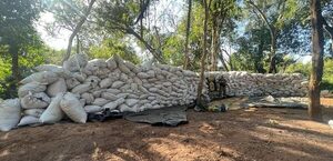 Senad saca de circulación casi 30 toneladas de marihuana en Bella Vista Norte - .::Agencia IP::.