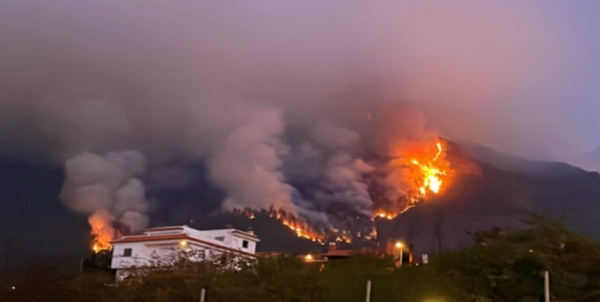 Arde Tenerife: el mayor incendio de Canarias en 40 años consume el 1,6% de la isla - El Independiente