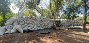 Senad saca de circulación casi 30 toneladas de marihuana en Bella Vista Norte - El Independiente