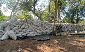 Senad destruyó casi 30 toneladas de marihuana en Bella Vista Norte