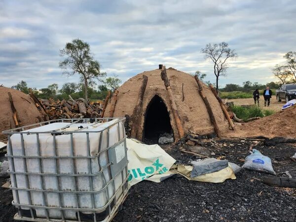 Boquerón: imputan a supuestos responsables de deforestación de 1.900 hectáreas en propiedad privada - Noticias del Chaco - ABC Color