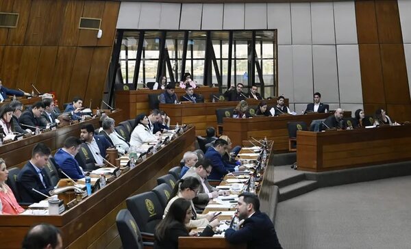 Partido Hagamos contra retorno de vales de combustible para legisladores - Política - ABC Color