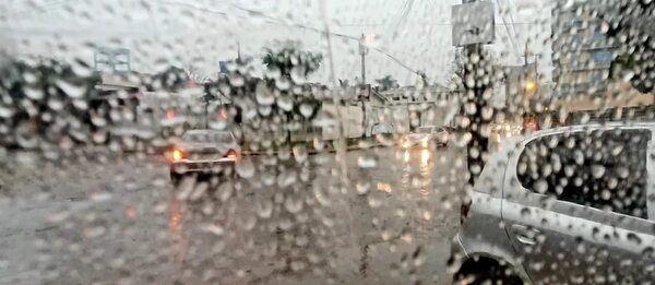 Lluvia favorece al trigo que urge de temperaturas más frías en el Este - ABC en el Este - ABC Color