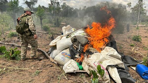Destruyen 2.000 kilos de Marihuana en Yby Ya'u