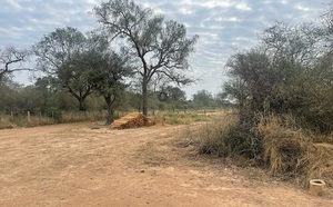 Imputan a supuestos responsables de deforestación de 1.900 hectáreas en propiedad privada