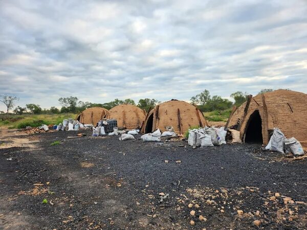 Imputan por deforestación de 1.900 hectáreas en el Chaco - Policiales - ABC Color