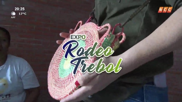 EXPO TREBOL 2023 – RESUMEN..