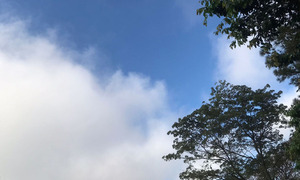 Sábado fresco a cálido con lluvias dispersas