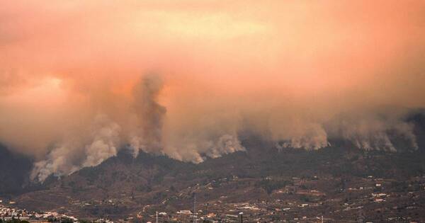 La Nación / Incendios en Tenerife desplazan a 26.000 personas