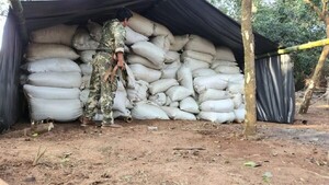 Senad desmantela centro de acopio de marihuana en Amambay