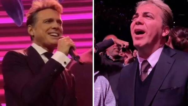 Luego de décadas de distanciamiento, Cristian Castro fue a ver el show de Luis Miguel