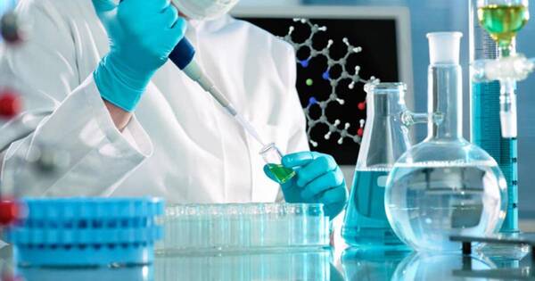 La Nación / Sector de biocombustibles celebra interés de impulsar energías renovables