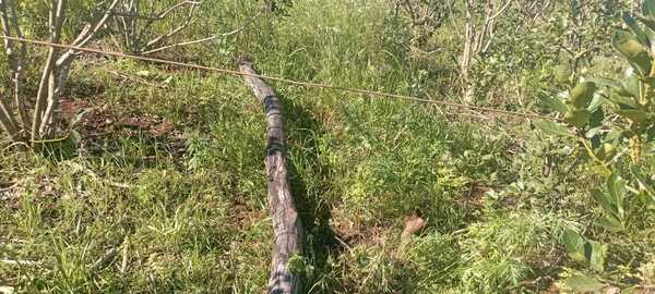 JOVEN RECIBIÓ UNA DESCARGA ELÉCTRICA CUANDO MANIPULABA UN POSTE DE LA ANDE - Itapúa Noticias