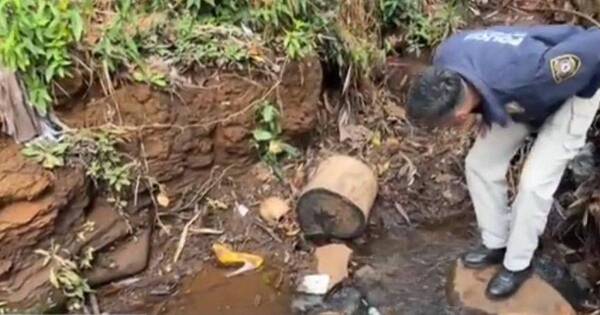 La Nación / Hallan cráneo humano al margen de un arroyo