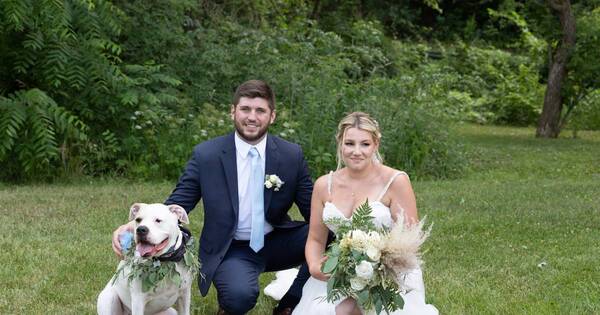 La Nación / ¡Puro amor! Pareja se casó en veterinaria para que su perro enfermo participe